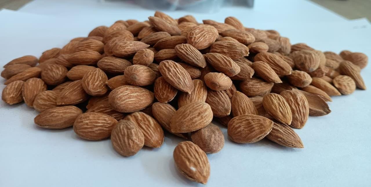 KASHMIRI ALMONDS-MAMRA (1 Kg) - Image 2