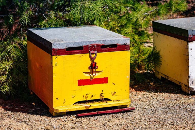 Yellow wooden beehive close-up