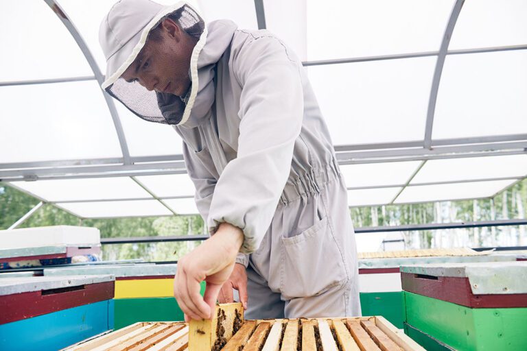 Young beekeeper working in apiary